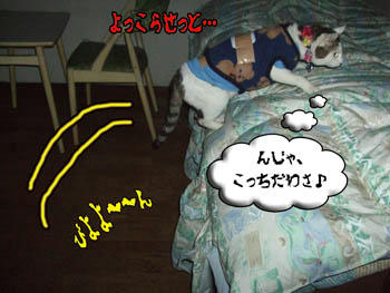 だ・か・らぁ～～