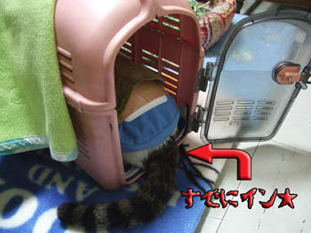 Σ(ﾟдﾟ;) ﾇｵｫ!?