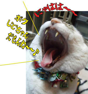 こうじゃなきゃ、ブラPッ!はどうすりゃいいのさっ!(泣)