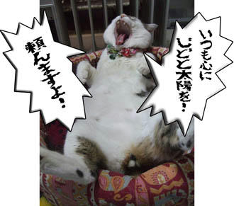 じどのくせにっ！！