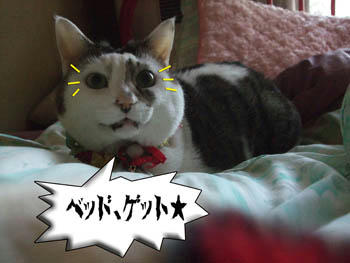 いきなりソコかい！