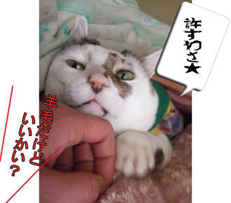 許してくれてありがと~
