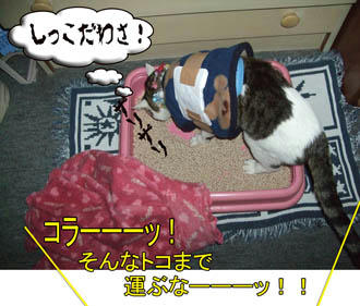 (ﾟ-ﾟ;)ヾ(-_-;) ｵｲｵｲ... 
