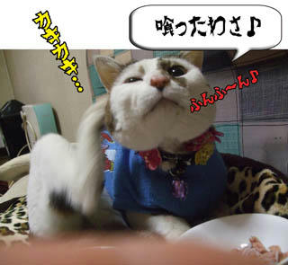 腹いっぱいかい？良かったね♪
