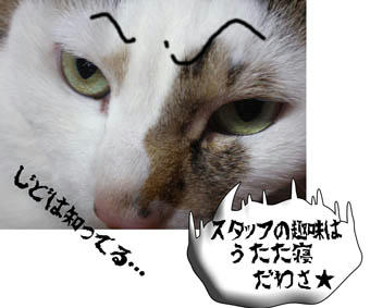 暴露すなっ!
