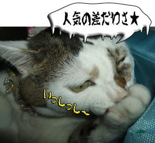 あ、そーー…（*￣□￣*；