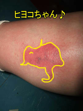 確かに見える~( ̄∇ ̄;) ハッハッハッ
