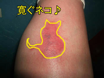 見えるってっば！