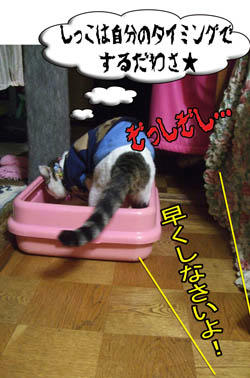 こっちのタイミングもあるからさっ!