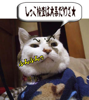 アンタはしてただけでしょ!