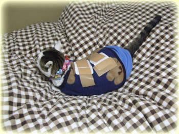 二枚着て二枚貼ってるし（笑）