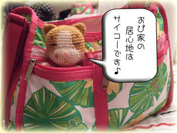 (￣ω￣)(ーωー)(￣ω￣)(ーω－)ｩｨｩｨ♪