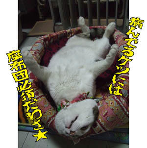 やはし、まだ病んでるんか？（汗