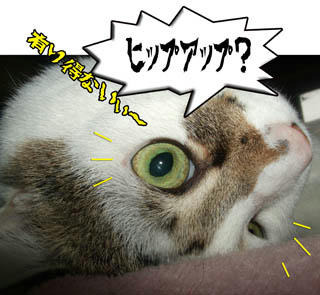 (´0ﾉ｀*)ｵｰﾎｯﾎｯﾎ!!まいったか！