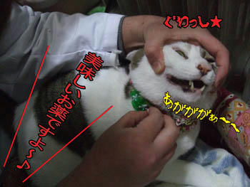 ホントに美味しいのか？（汗