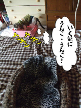 いっぱい、出していけーーーっ！