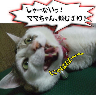 ママちゃん！じどの願いだよ～～ん
