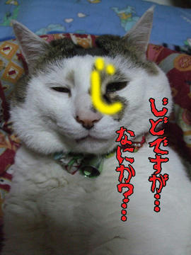 残念ね~、う、う…