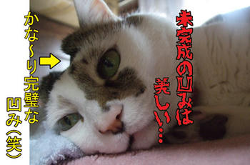 それ以上に未完成品はあるかい？（汗
