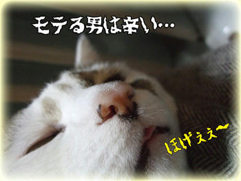 そのセリフを吐きながら「ほげ」るでないっ!