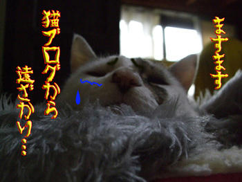 誰のせいだかしら？