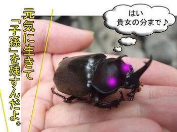 そーね、お願いね…( p_q)ｴ-ﾝ