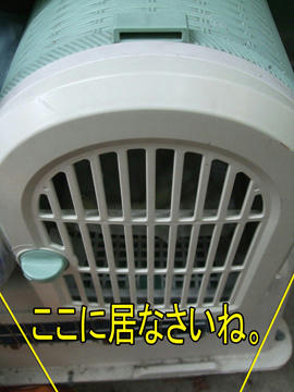 暑くてもガマンしなさいね。
