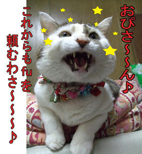 どんこの「満面の笑み・よいしょっ!」