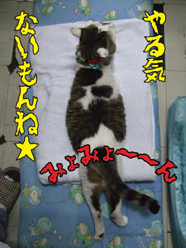 いっつもやる気なかったもんな~(笑)