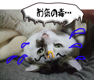 おまえが言うなっ!