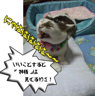 o(゚◇゚o)ホエ?