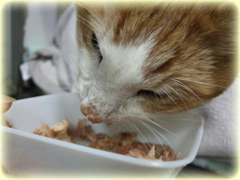 さすが食いしん坊!(笑)