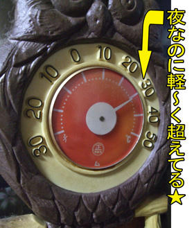 あら？今日は室温低めね（笑）
