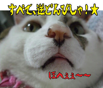 ( p_q)ｴ-ﾝ　確かに…