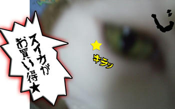 そんな時代は終わったわさ！