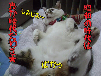 どんこちゃん、まだ生まれていないわよ～