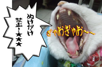 ゆーたれ！ゆーーたれっ！！