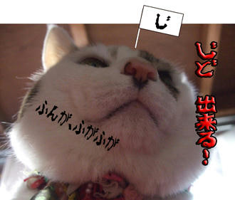 あーー…旗まで立てちゃった…