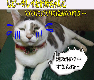 そんなにいいトコなのけ？