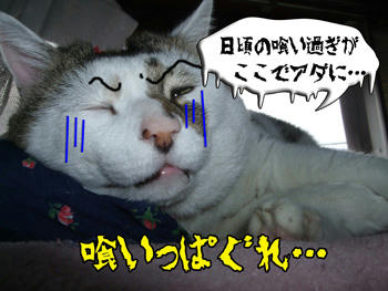 やっぱ、日頃喰い過ぎ？（汗