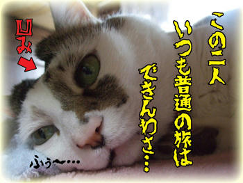 凹み満載でのお言葉、ありがと～（笑）