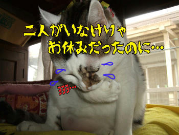 乳首を出してソコに突っ込むな!