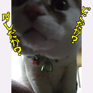 よ~~く見なさい!
