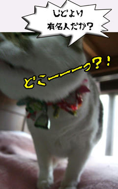 あのぉ~…どんこは有名人じゃないですから~~