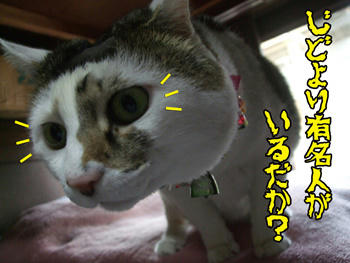 「じどより」?…(;-_-) =3フッ