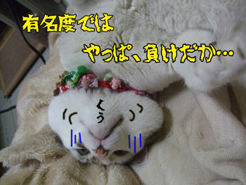 天下のミッキー様と張り合うな…ﾖﾖ…