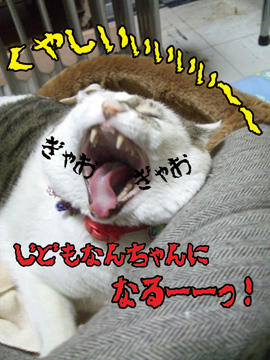 ミッキーよりナンチャン？
