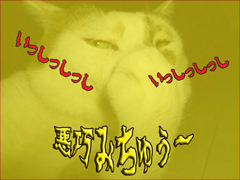 まだ細目…邪悪よのぅ~~~