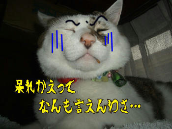 …やはし？…