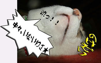 時間がなかったんだよぅ～(ﾉTдT)ﾉ ﾜｱｧｧ･･!!